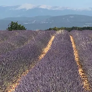Provence Luberon Location Chez Marcelle , Bonnieux Frankreich